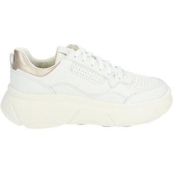 Baskets basses Geox Sneaker