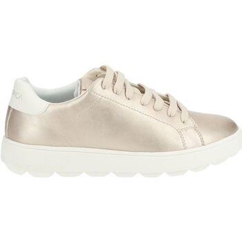 Baskets basses Geox Sneaker