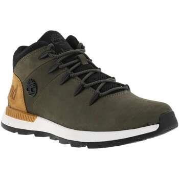 Boots Timberland 17943CHAH24
