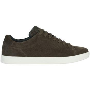 Baskets Geox U Avola sneaker in camoscio