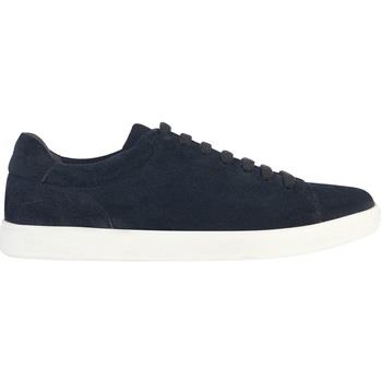 Baskets Geox U Avola sneaker in camoscio