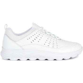 Baskets Geox U Spherica sneaker