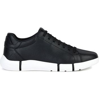 Baskets Geox U Adacter sneaker in pelle