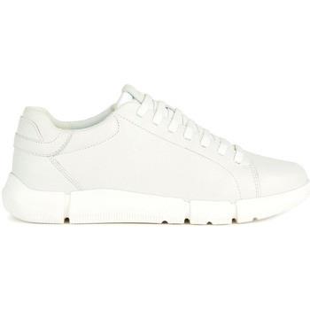 Baskets Geox U Adacter sneaker in pelle