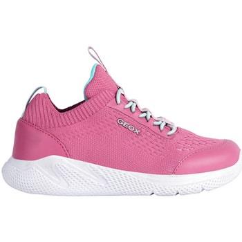 Baskets enfant Geox J Sprintye Girl sneaker