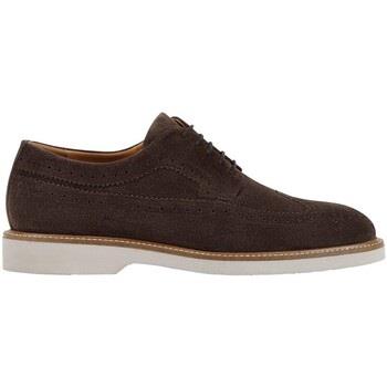 Ville basse Geox U Gubbio scarpa casual