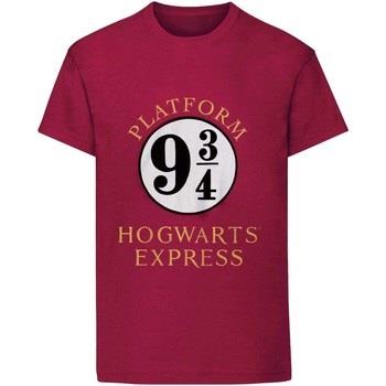 T-shirt enfant Harry Potter HE431