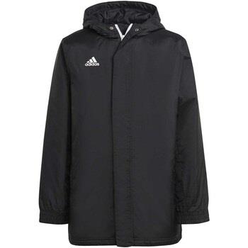 Veste enfant adidas Ent22 Stad Jkty