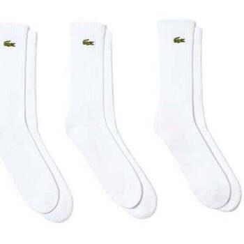 Chaussettes Lacoste -