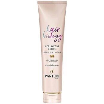 Soins &amp; Après-shampooing Pantene Hair Biology Volumen Brillo Acond...