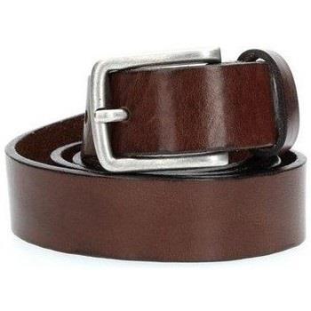 Ceinture Jack &amp; Jones 12111066 LEE-BLACK COFFEE