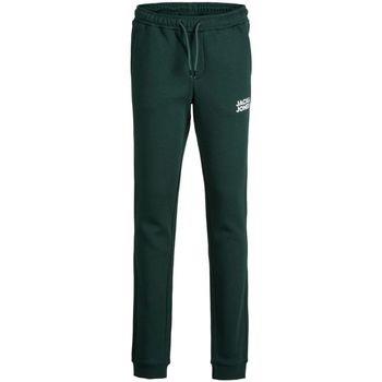 Pantalon enfant Jack &amp; Jones 12179798 GORDON-PINE GROVE