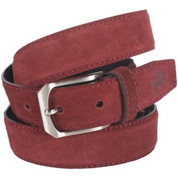 Ceinture Lois Cinturones