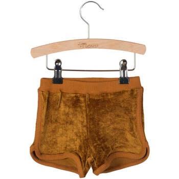 Pantalon enfant Little Hedonist Short en éponge doré neuf