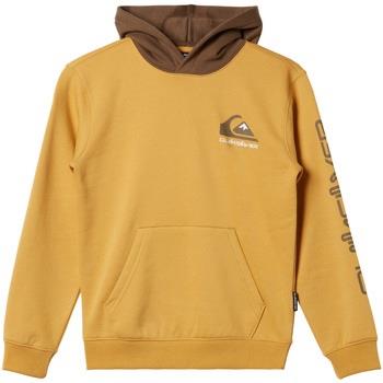 Polaire enfant Quiksilver Logo