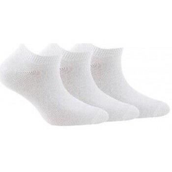 Chaussettes Kindy Lot de 3 paires de chaussettes invisibles jersey uni...