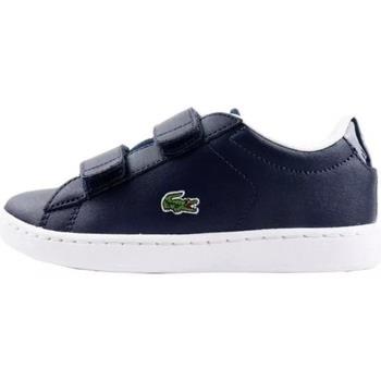 Baskets basses Lacoste CARNABY EVO 120