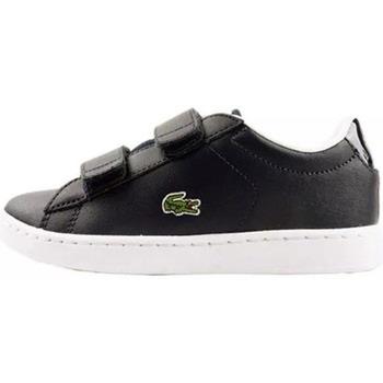 Baskets basses enfant Lacoste CARNABY EVO STRAP Bébé