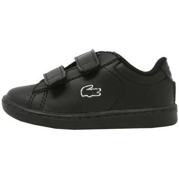 Baskets basses enfant Lacoste Cadet CARNABY EVO BL3 SUI