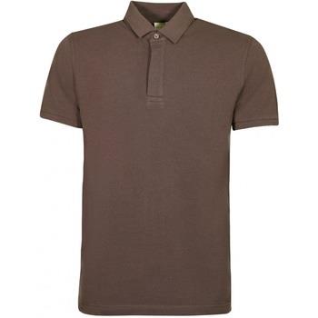 T-shirt Bruce Field Polo Piqué Luc 100% coton boutonnière cachée