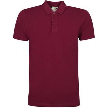 T-shirt Bruce Field Polo Piqué Lucien 100% coton