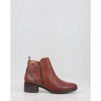 Bottines Pikolinos MALAGA W6W-8950