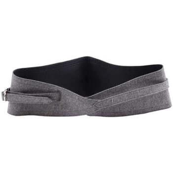 Ceinture Saint Laurent Ceinture en cuir