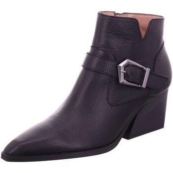 Bottes Hispanitas -