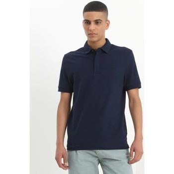 Polo Lacoste -