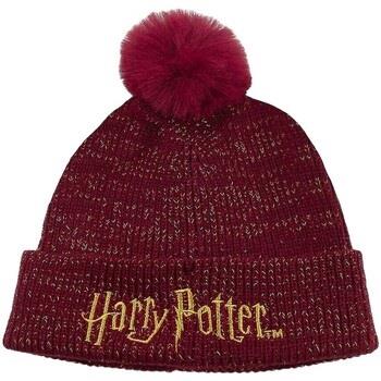 Chapeau Harry Potter HE2278