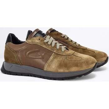 Chaussures Alberto Guardiani -