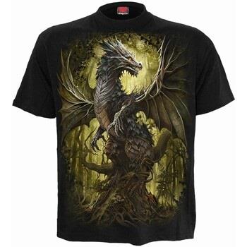 T-shirt Spiral Oak Dragon