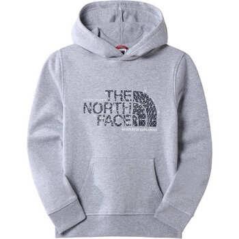 Chemise enfant The North Face TEENS DREW PEAK P/O HOODIE