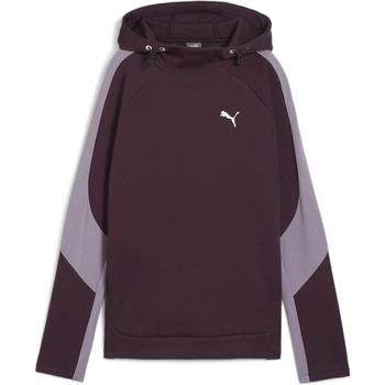 Sweat-shirt Puma EVOSTRIPE Hoodie