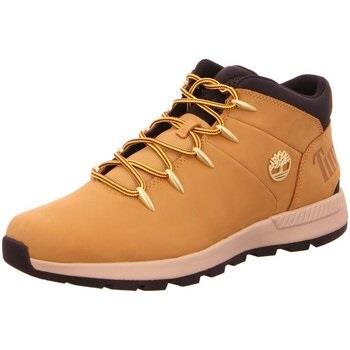 Chaussures Timberland -