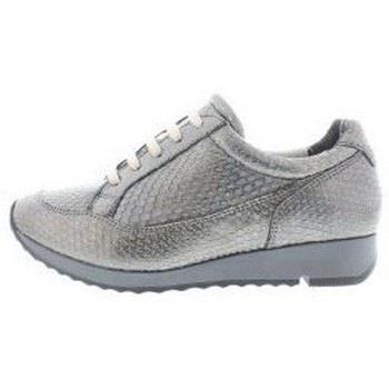 Baskets Jj Footwear 508 Accel H