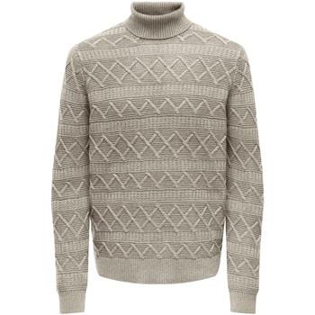 Pull Only &amp; Sons ONSWADE REG 5 STRUC ROLL NECK KNIT 22027158