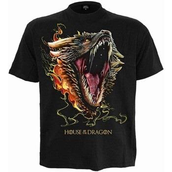 T-shirt Spiral Dragon