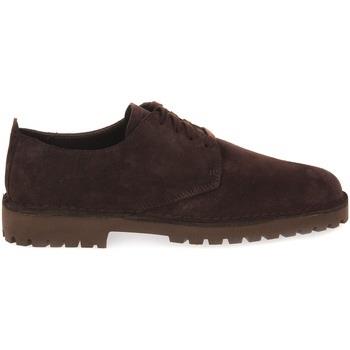 Baskets Clarks DESERTROCK LOW