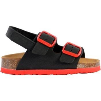 Sandales enfant Scholl Mules Cuir Turtle