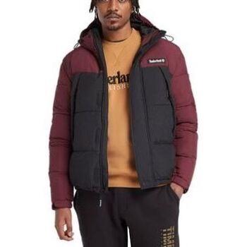 Manteau Timberland TB0A6S41-DX6