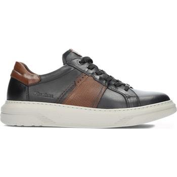 Baskets basses Fluchos Chaussures homme boston modèle 2043