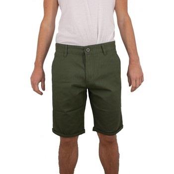 Short Torrente Basic