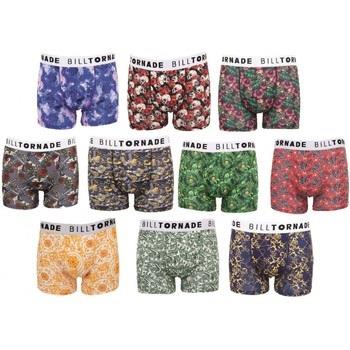 Boxers Billtornade Fantaisie