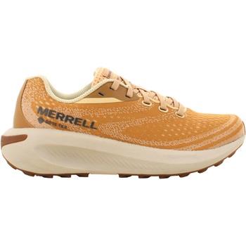 Baskets basses Merrell J068282