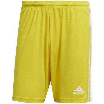 Pantalon adidas Squadra 21