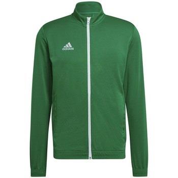 Sweat-shirt adidas Entrada 22 Track