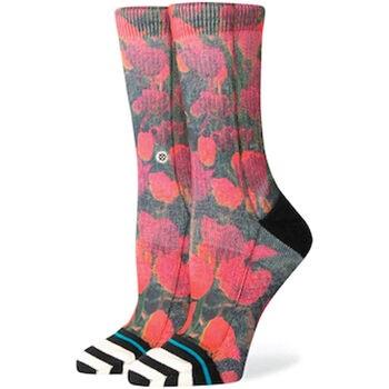 Chaussettes Stance RISO CREW