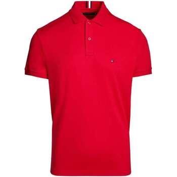 Polo Tommy Hilfiger 168152VTAH24