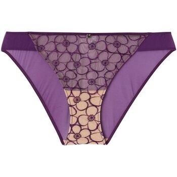 Culottes &amp; slips Pomm'poire Culotte violette Venus